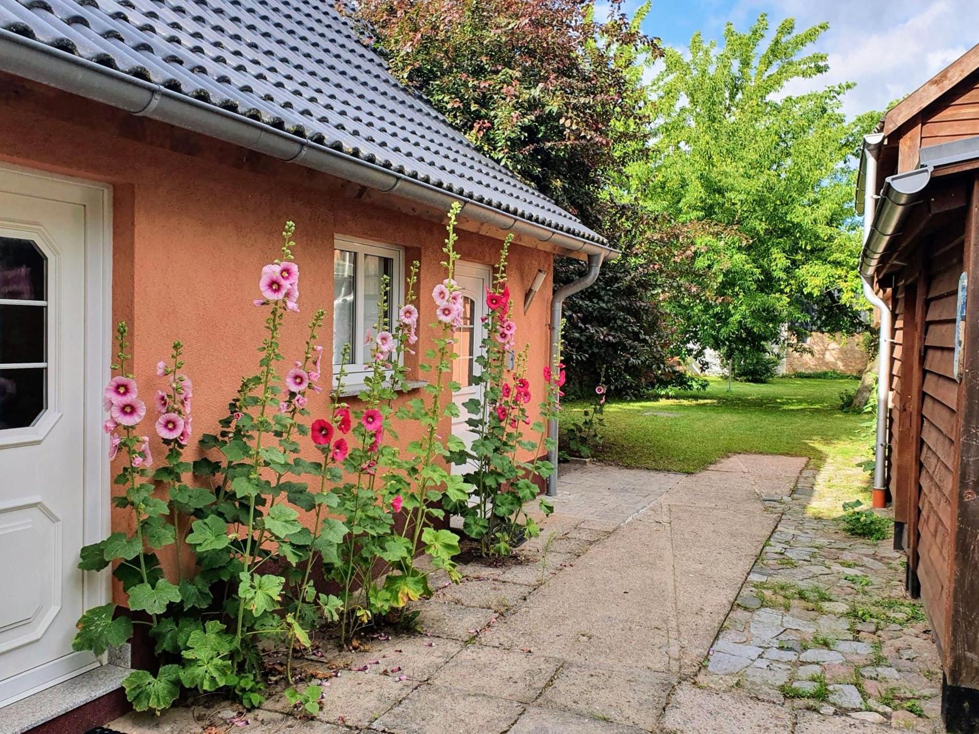 Ferienhaus Moewe Hanshagen  Ngoại thất bức ảnh